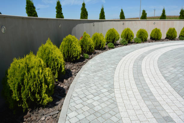 Best Decorative Driveway Pavers  in Wellington, UT
